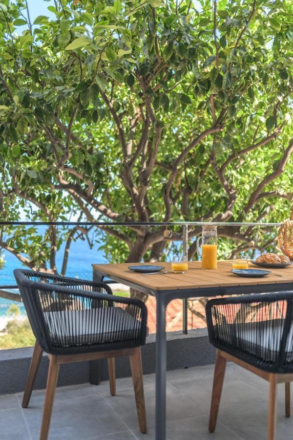Proche Monaco, Vue Mer, Acces Plage Et Jardin Privatif Saint-Antoine  Exterior foto